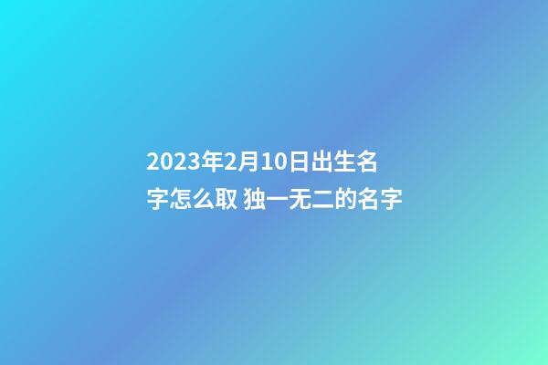 2023年2月10日出生名字怎么取 独一无二的名字